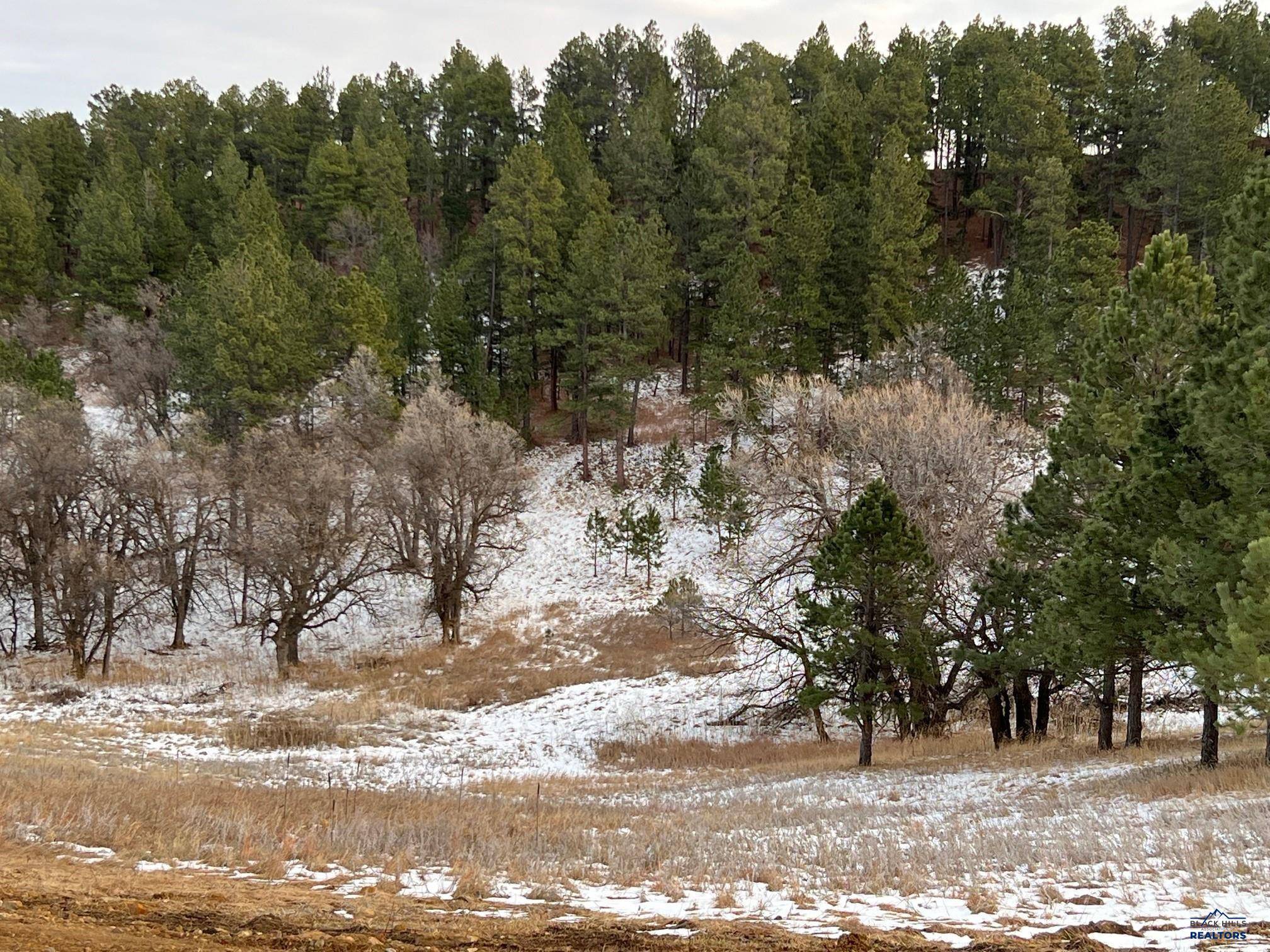 Whitewood, SD 57793,Lot 19 SUMMIT PASS #Dakota Highland Estates