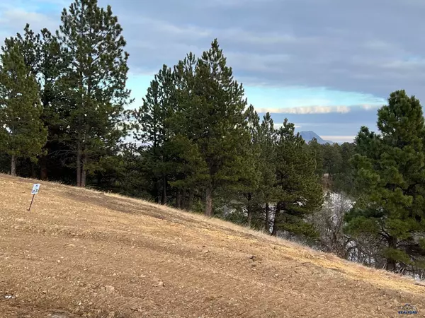 Whitewood, SD 57793,Lot 19 SUMMIT PASS #Dakota Highland Estates
