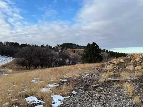 Whitewood, SD 57793,Tbd Lot 29 Prairie View Loop