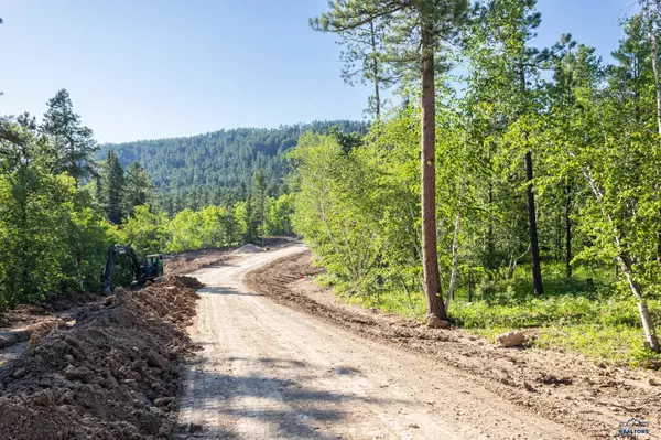 Lead, SD 57754,Lot 125 Paradise Gulch Loop