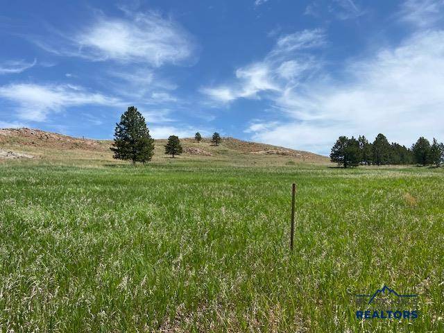 Rapid City, SD 57702,TBD PARK DR #Block 1, Lot 2F