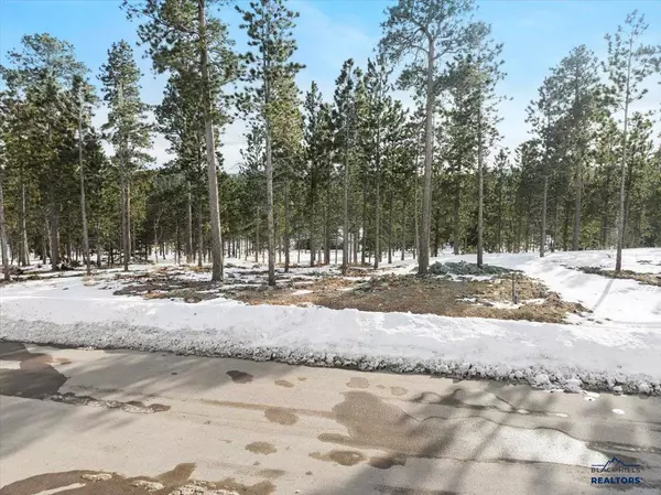 Lead, SD 57754,Lot 5 Block 9 OVERLOOK PASS