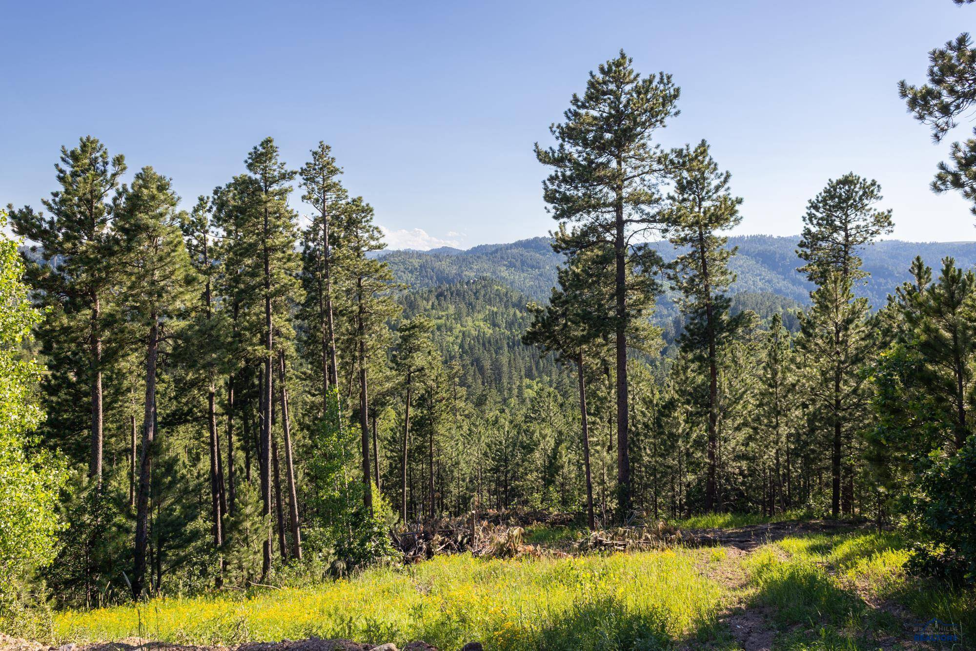 Lead, SD 57754,Lot 123 Paradise Gulch Loop