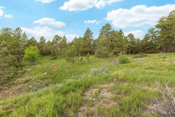 Hermosa, SD 57744,13859 Melvin Rd