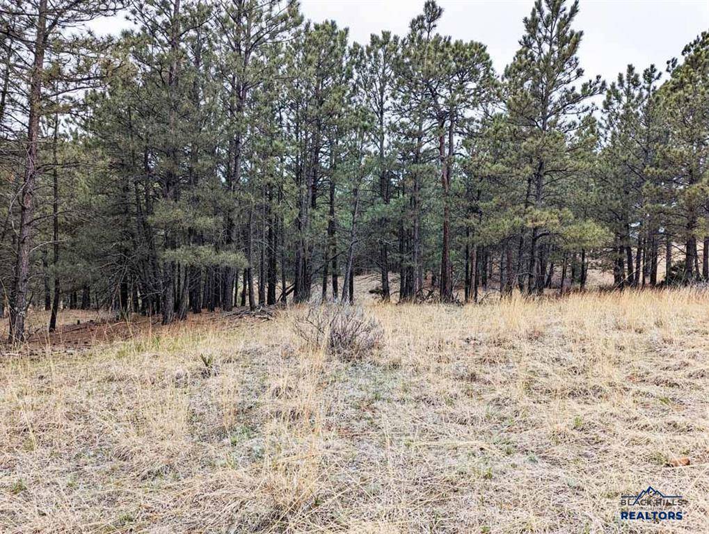 Hot Springs, SD 57747,TBD Lot 6 ARGYLE RD