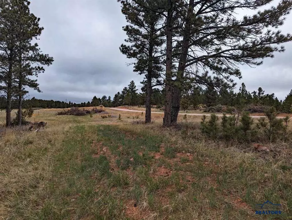 Hot Springs, SD 57747,Tbd Lot 6 Argyle Rd