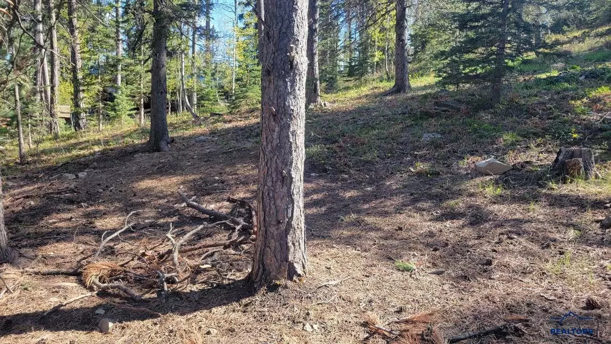 Lead, SD 57754,TBD WHITETAIL DR