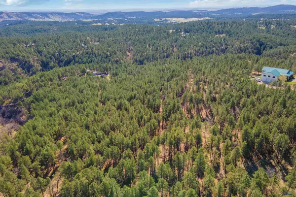 Hermosa, SD 57744,13730 Canyon Ct