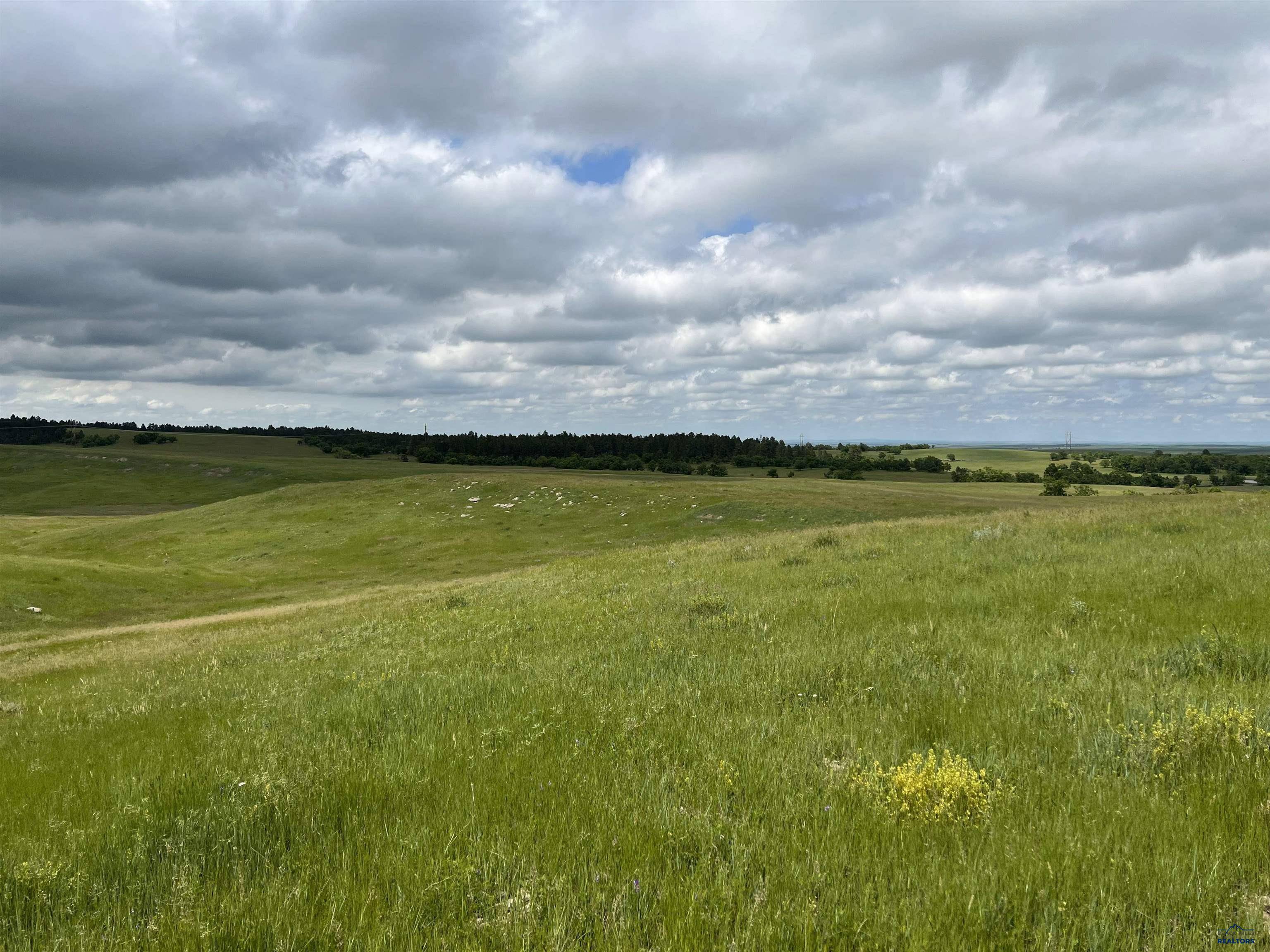 Whitewood, SD 57793,1321 Laurel St