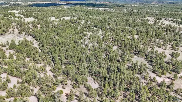 Custer, SD 57730,tbd 20 MILE RD