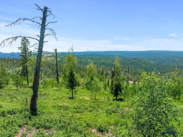 Lot 1 OTHER #Lot 1 Tracy Lane-Terry Peak Summit, Lead, SD 57754