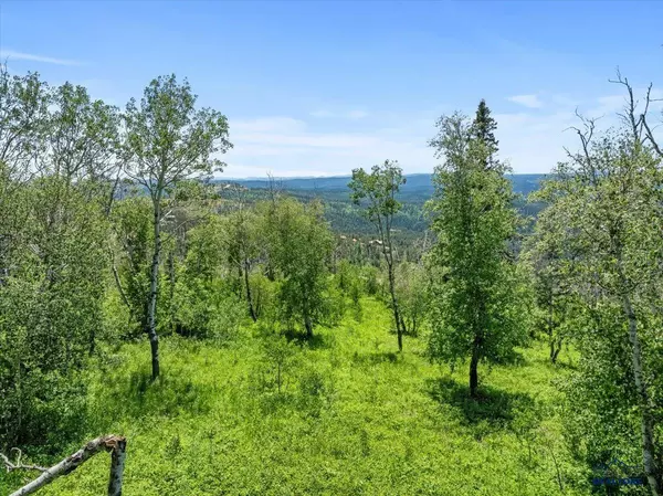 Lot 2 OTHER #Lot 2 Tracy Lane-Terry Peak Summit, Lead, SD 57754
