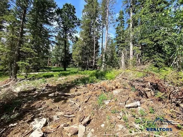Lot 24 OTHER #Blue Sky Loop, Lead, SD 57754