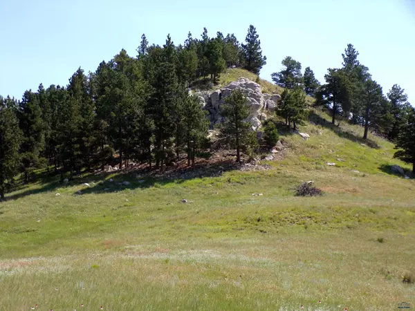 Belle Fourche, SD 57717,19268 Other