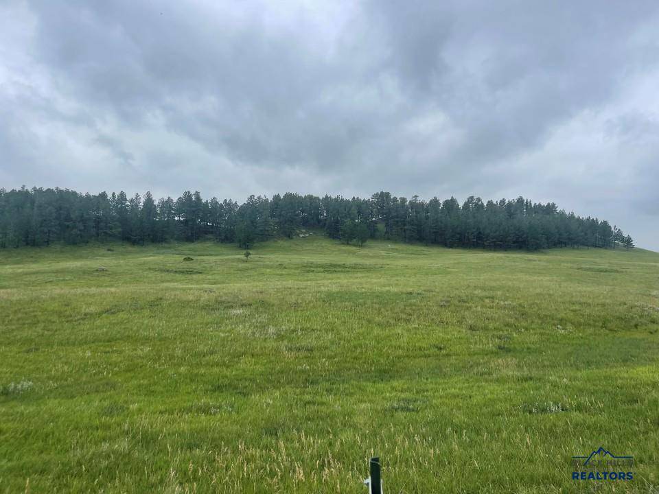 Tbd Murphy Rd, Hermosa, SD 57744
