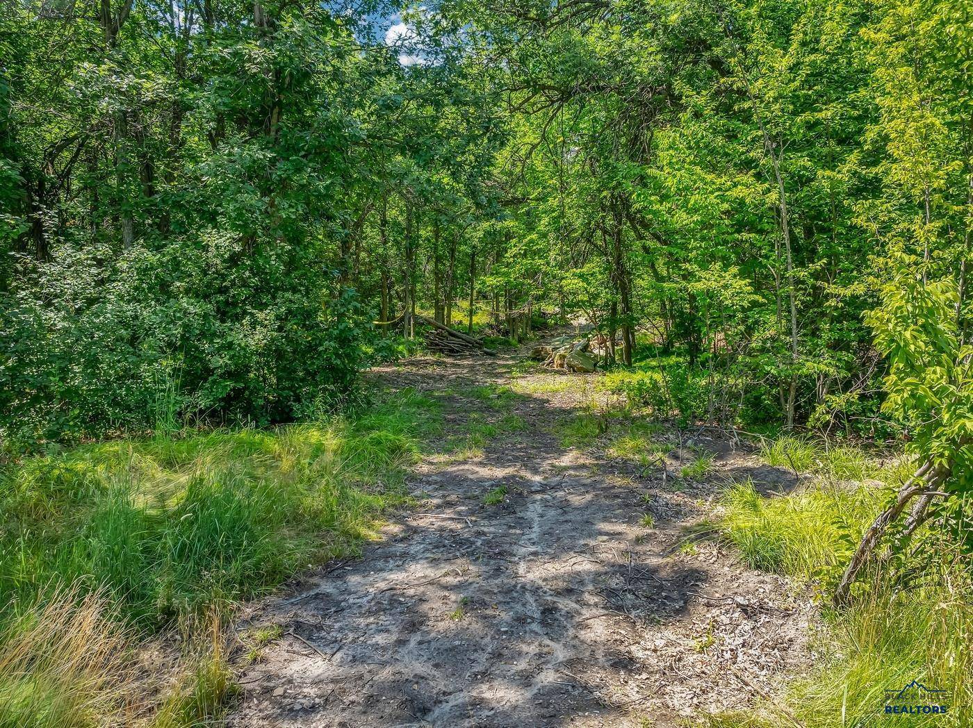 Lot 1 Block 2 ASPEN WAY, Whitewood, SD 57793