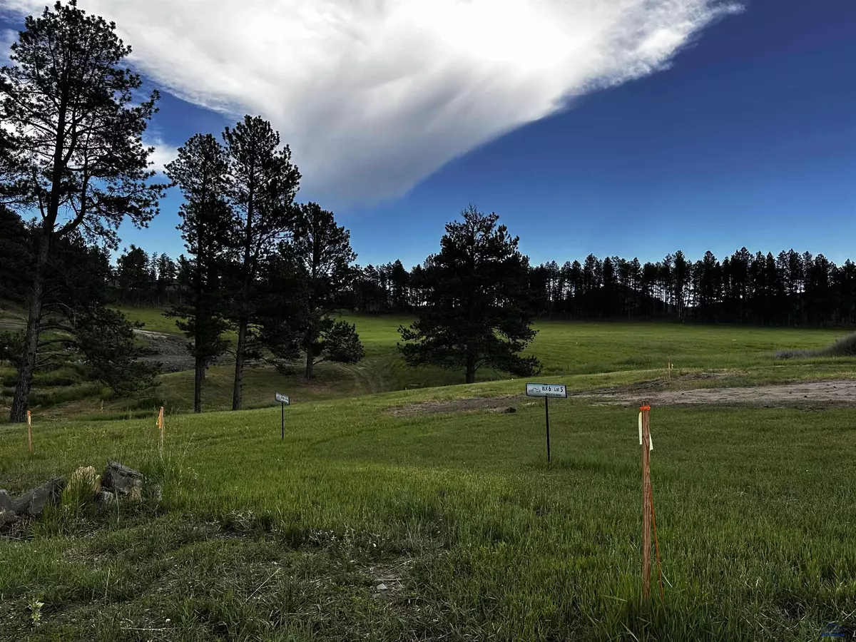 Hill City, SD 57745,Blk 6 Lot 6 OTHER #TBD Lakewood Court