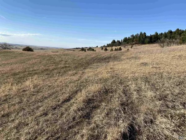 Whitewood, SD 57793,7b Kissack Rd