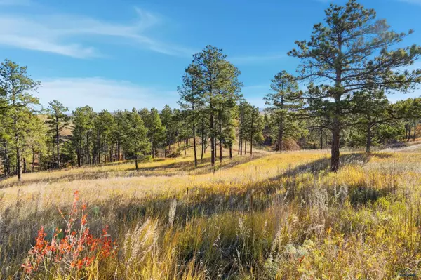 Rapid City, SD 57701,Lot 17A W MINNESOTA