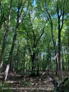 Okemos, MI 48864,0 Cornell RD