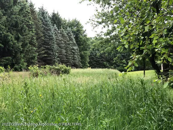 Dewitt, MI 48820,0 Driftwood DR