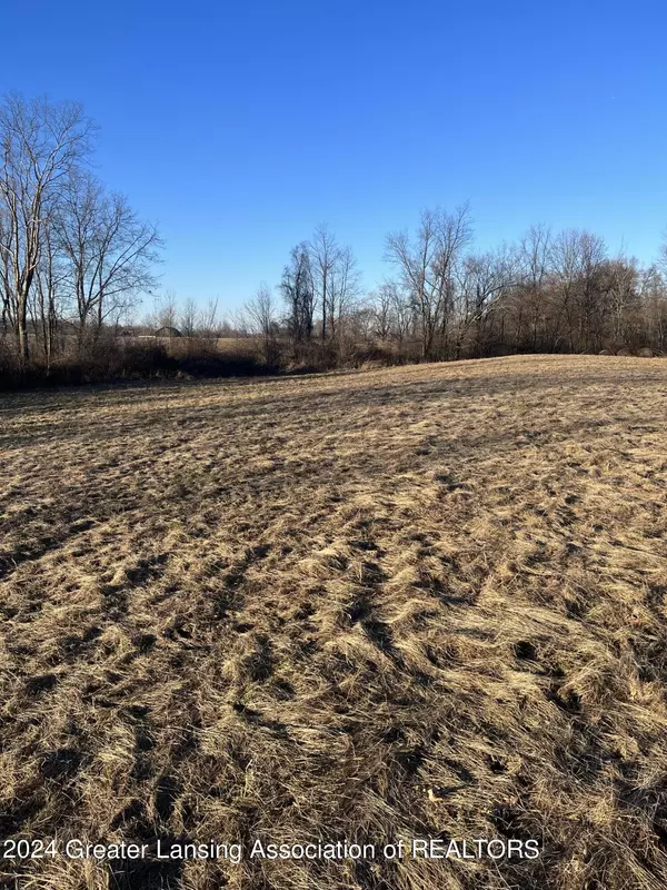 Rives Junction, MI 49277,0 Maple Lane RD