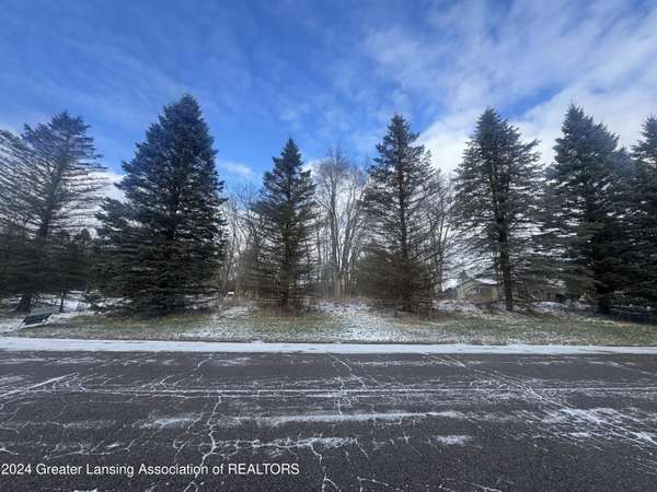 0 Hiddenview Lane, Williamston, MI 48895, Williamston, MI 48895