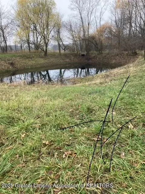 Ovid, MI 48866,3298 A S Balcom