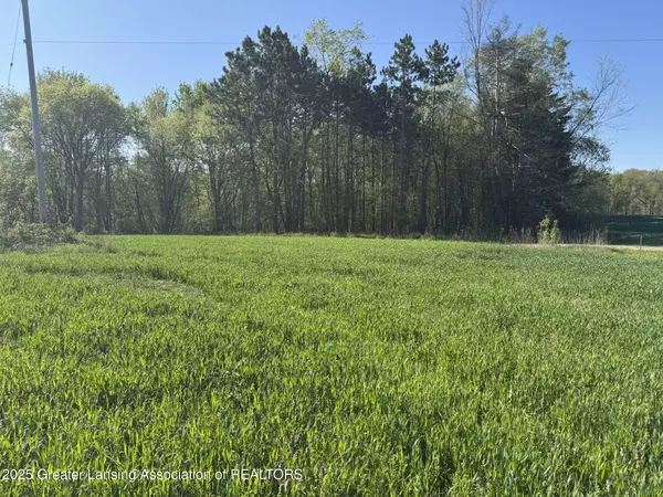 Eaton Rapids, MI 48827,Lot A Stoney LN