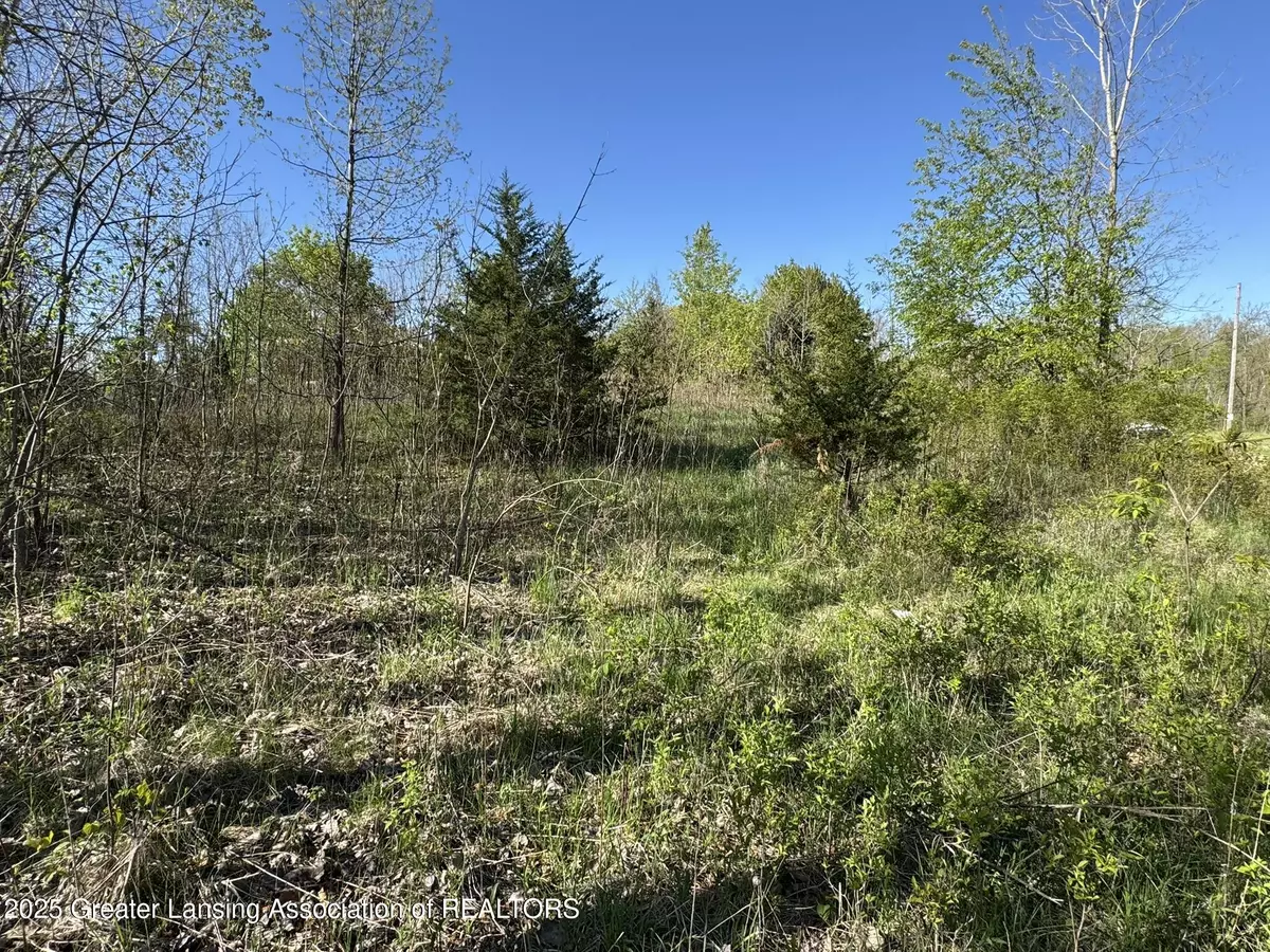Eaton Rapids, MI 48827,Lot C Stoney LN