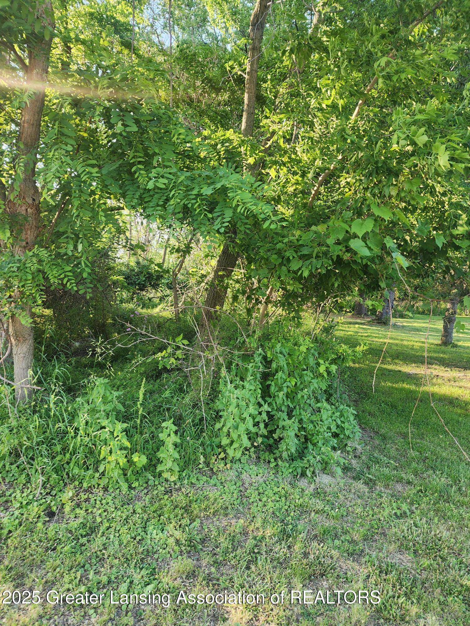 0 V/L W Sheridan RD, Lansing, MI 48906