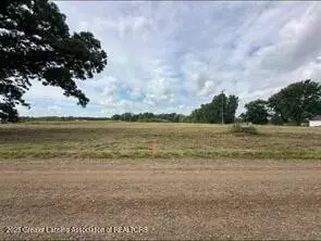 Parcel 1 Hite RD, Bancroft, MI 48414