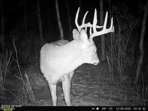 Newfolden, MN 56738,XX 240TH ST NW