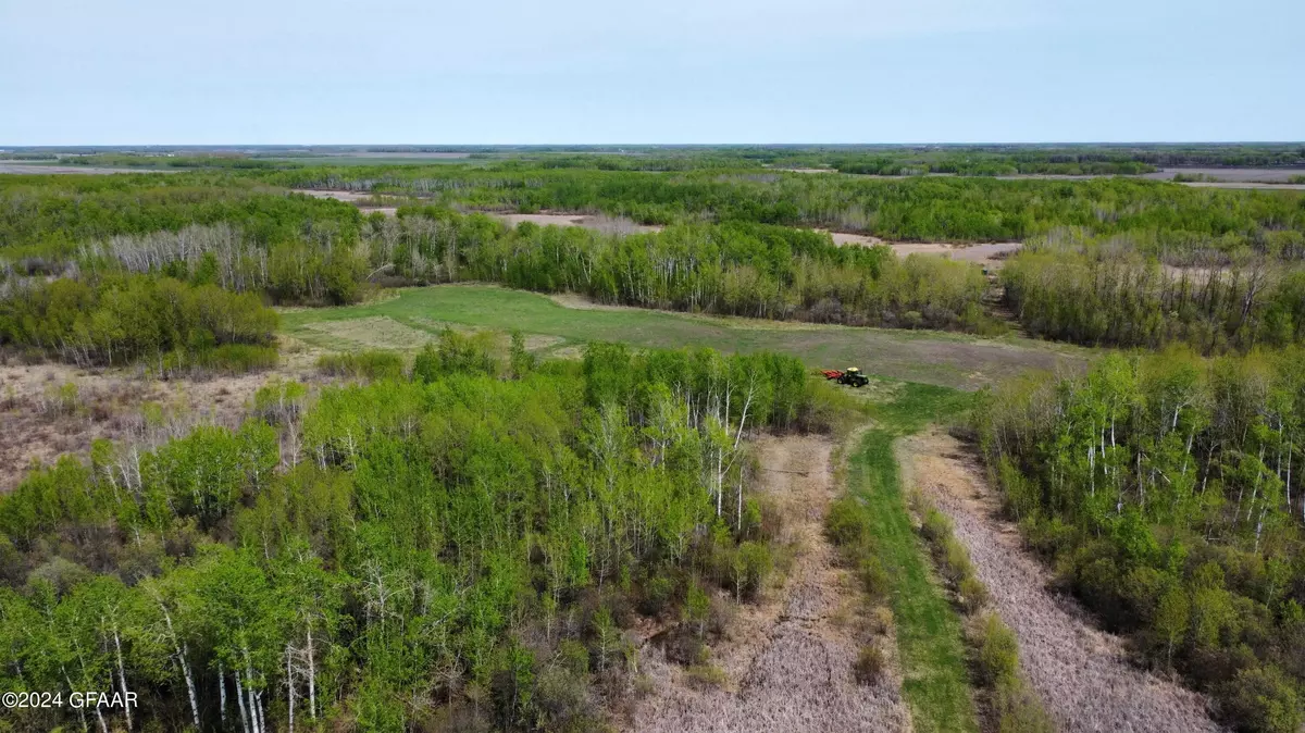 Newfolden, MN 56738,TBD