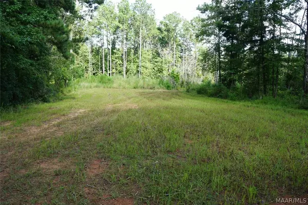 Brantley, AL 36009,0 Leon Tower RD