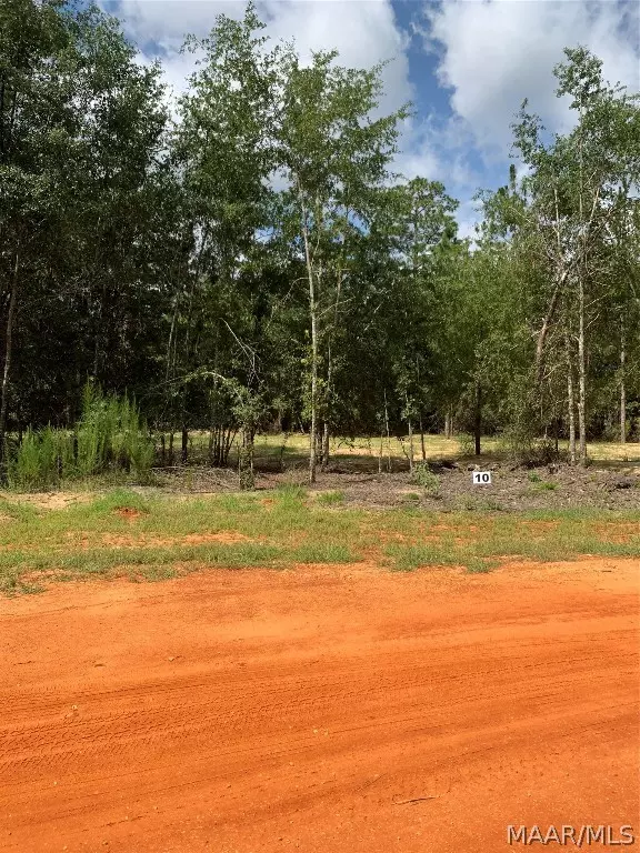 Camden, AL 36726,Lot 10 Deer LOOP