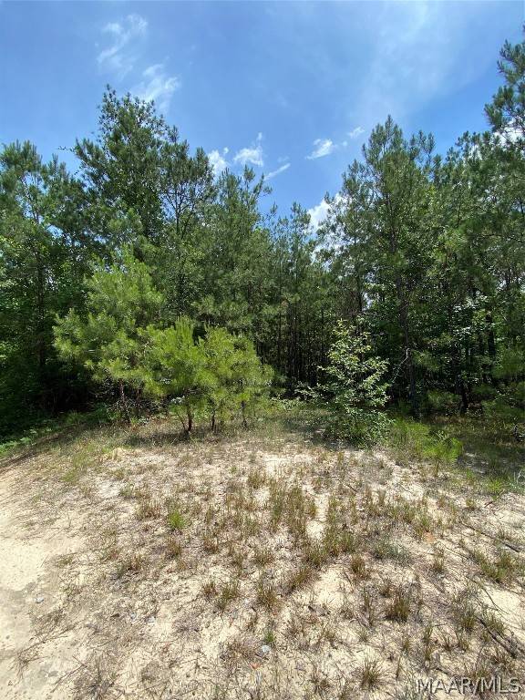 Marbury, AL 36051,0 Hwy 143