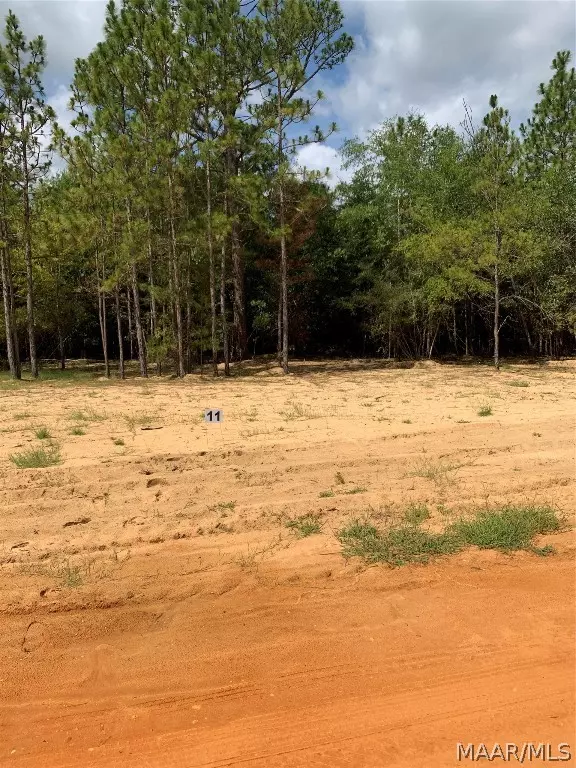 Camden, AL 36726,Lot 11 Deer LOOP