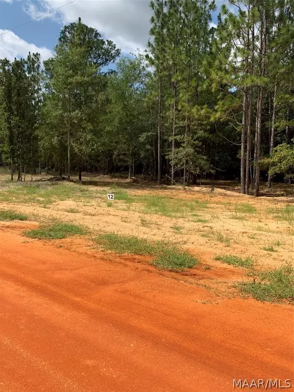 Camden, AL 36726,Lot 12 Deer LOOP