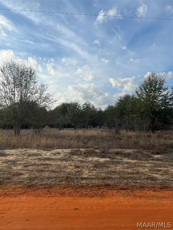 Camden, AL 36726,Lot 41 Deer LOOP