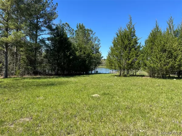 Mathews, AL 36052,Lot 1 Leahmon LN