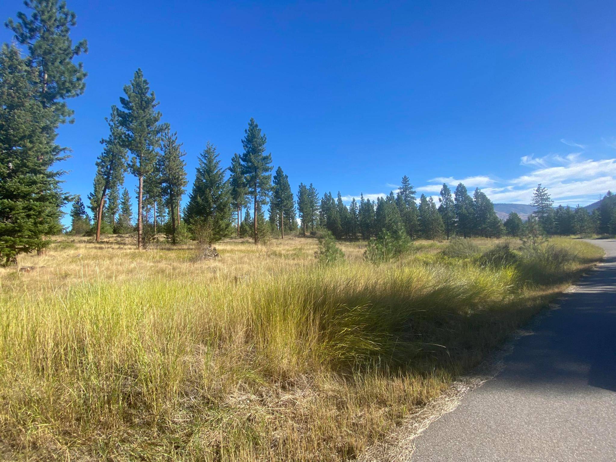 Plains, MT 59859,Lot 40 Bighorn Bluff LOOP
