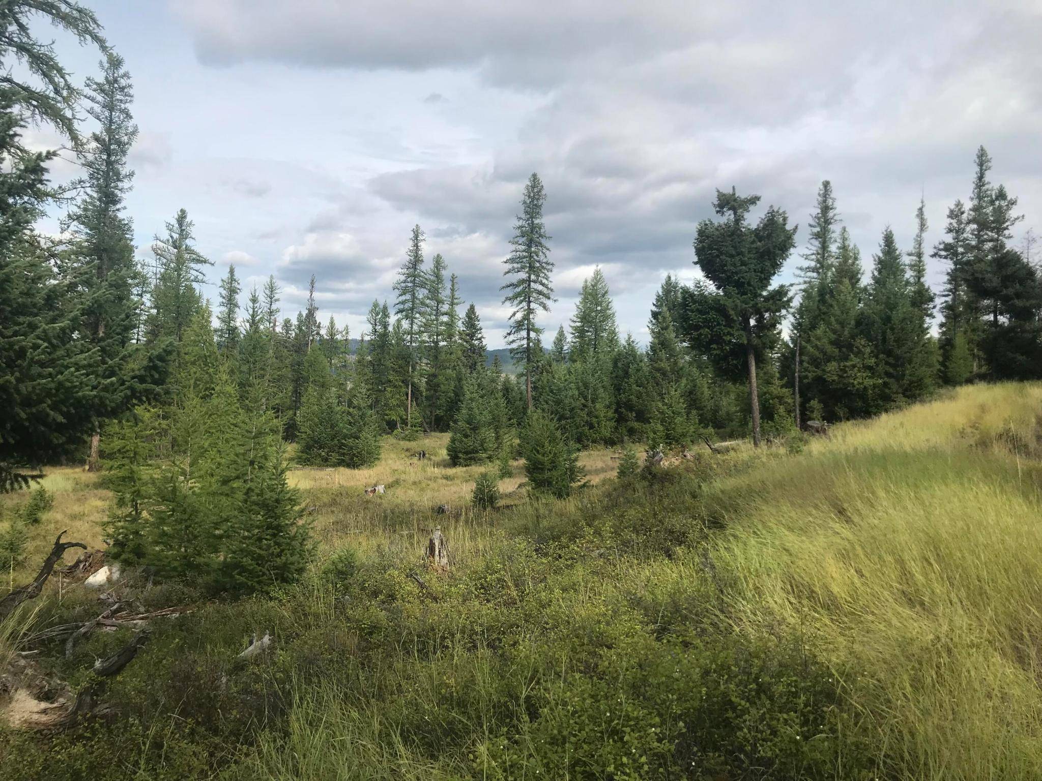 Kalispell, MT 59901,Nhh Whitetail Ridge RDG