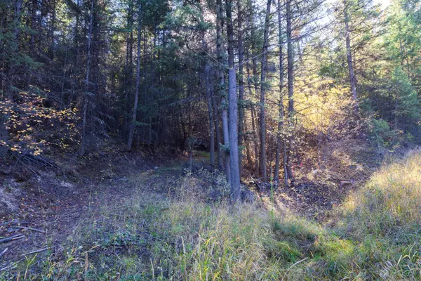 Eureka, MT 59917,Nhn Gut Creek RD
