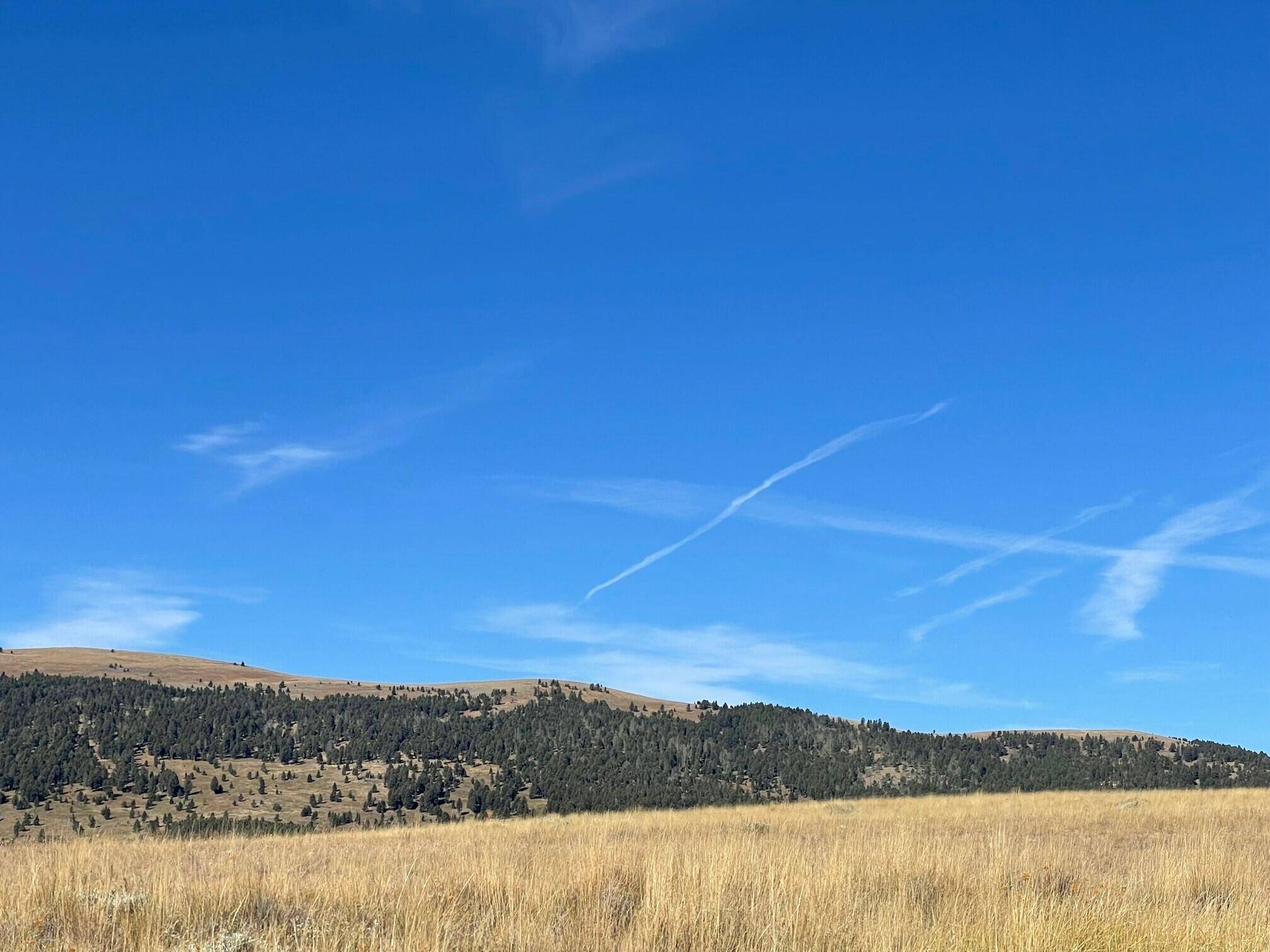 White Sulphur Springs, MT 59645,200 Mountain View TRL