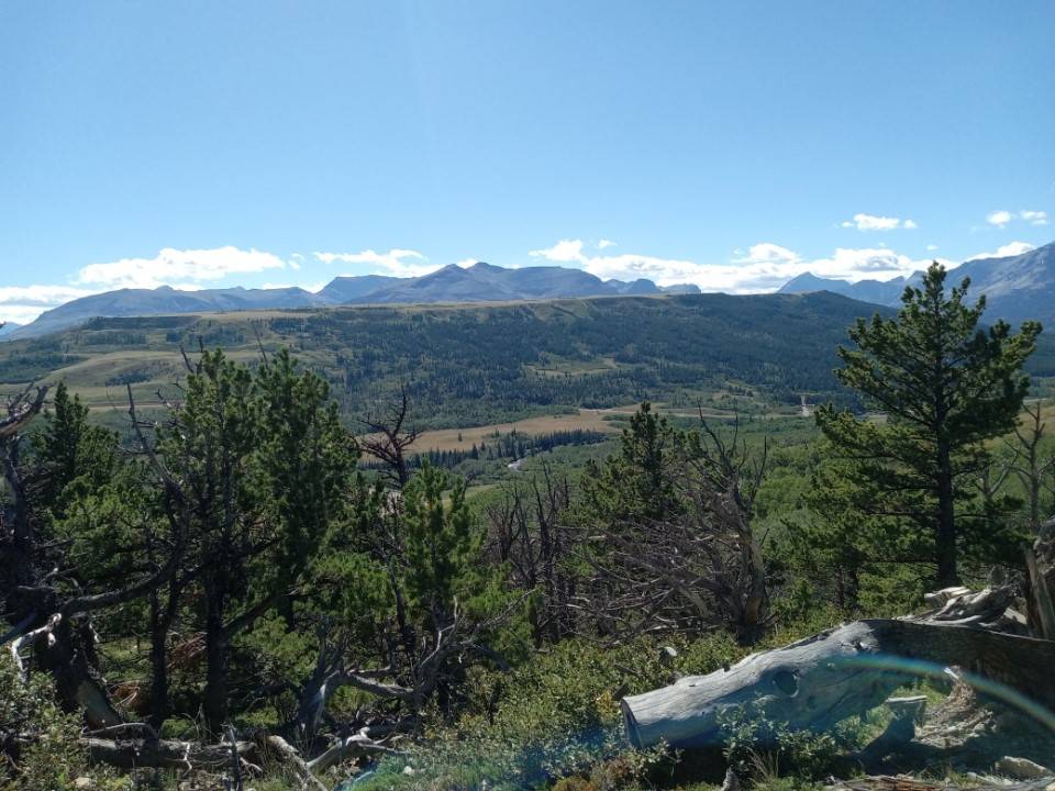 Browning, MT 59417,NHN HWY 89