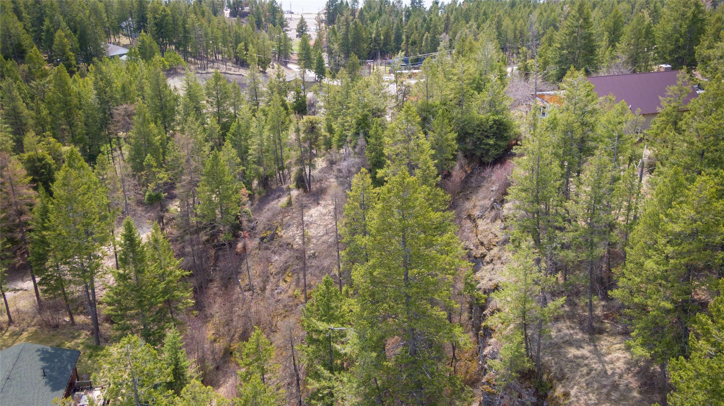 Somers, MT 59932,NHN S Eighty DR