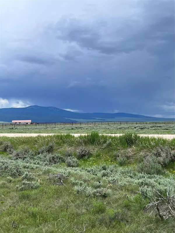Tract 21 Steel Creek RD, Wisdom, MT 59761
