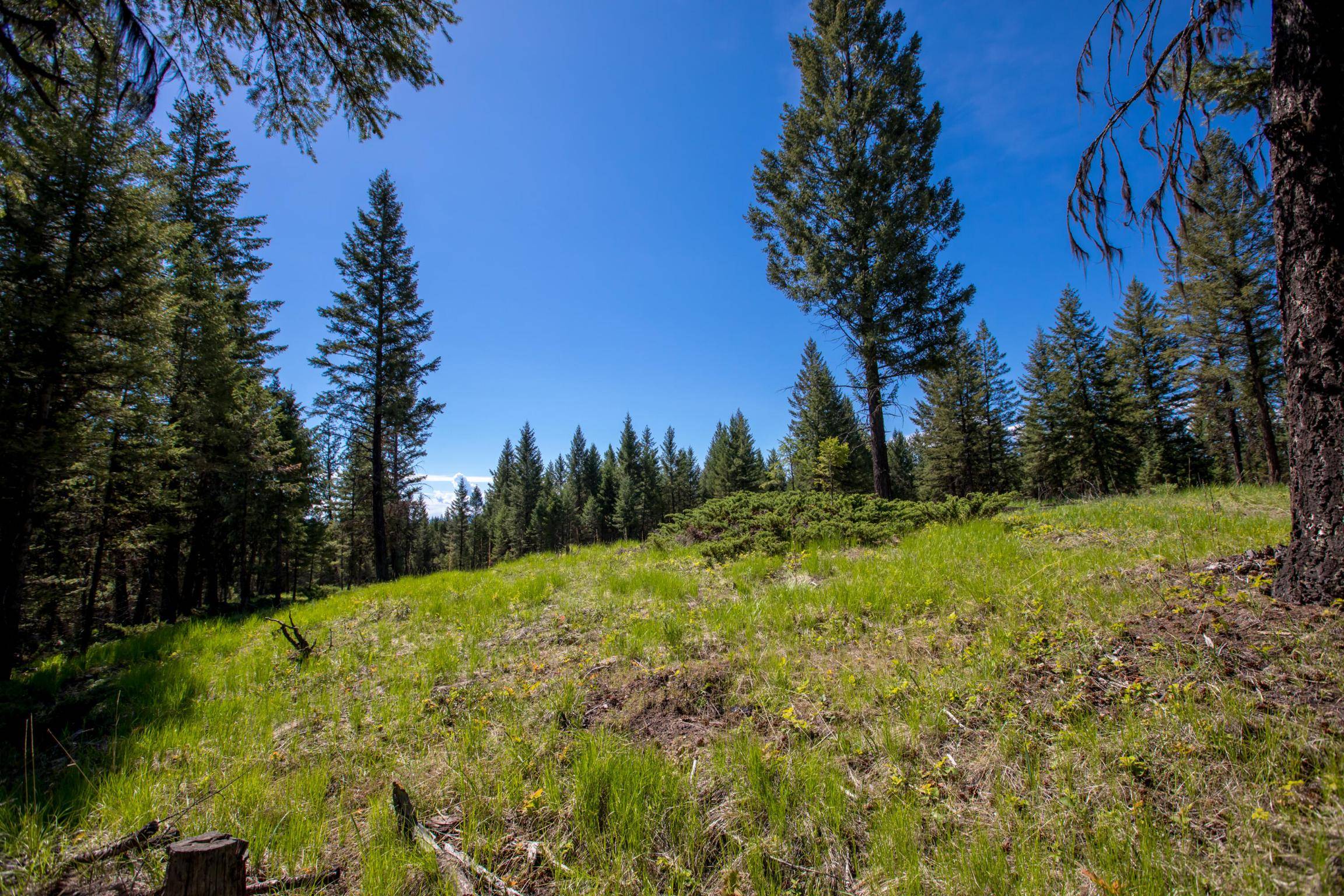 Nhn Aspen Glen RD, Eureka, MT 59917