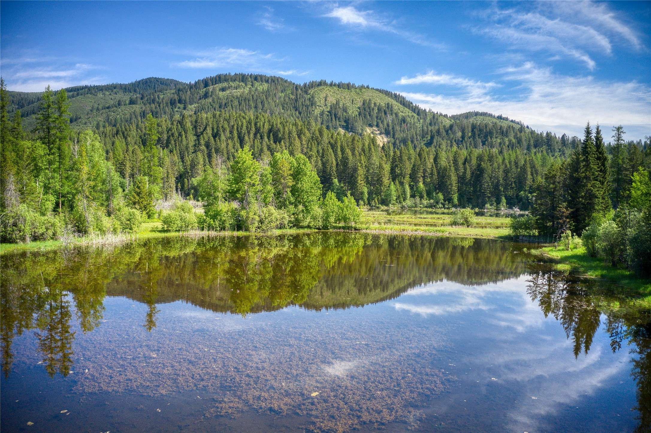 Columbia Falls, MT 59912,2280 North Fork RD